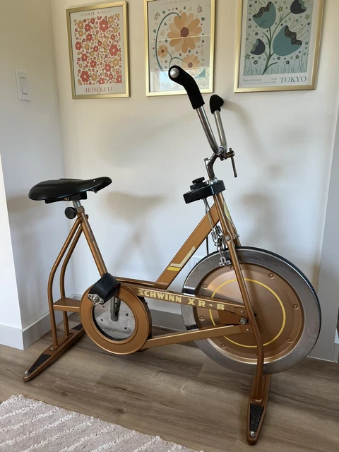 schwinn xr8 exercise bike